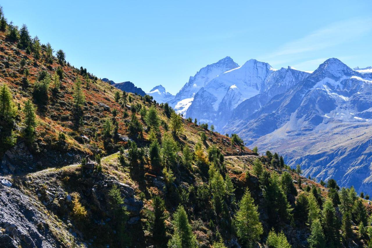 Hotel Le Besso - Swiss Romantic Lodge Zinal Dış mekan fotoğraf